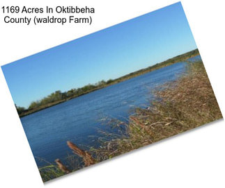 1169 Acres In Oktibbeha County (waldrop Farm)