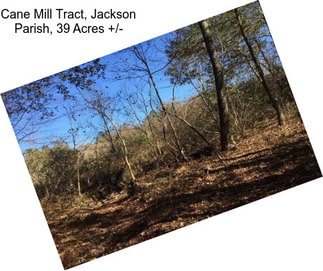 Cane Mill Tract, Jackson Parish, 39 Acres +/-