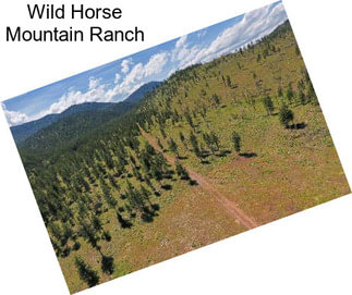 Wild Horse Mountain Ranch