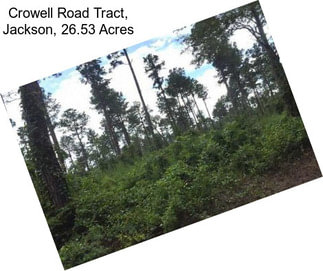 Crowell Road Tract, Jackson, 26.53 Acres