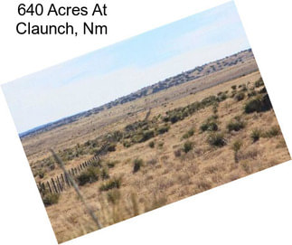 640 Acres At Claunch, Nm