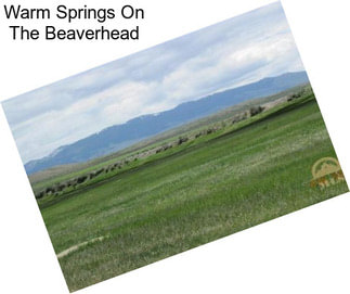 Warm Springs On The Beaverhead