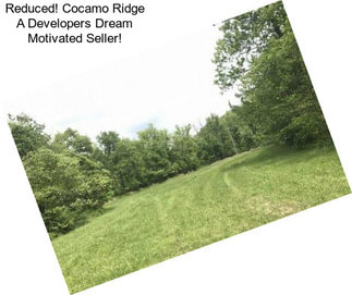 Reduced! Cocamo Ridge A Developers Dream Motivated Seller!