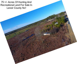 75 +/- Acres Of Hunting And Recreational Land For Sale In Lenoir County Nc!