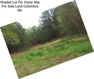 Shaded Lot For Home Site For Sale Land Columbus Ms