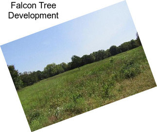 Falcon Tree Development