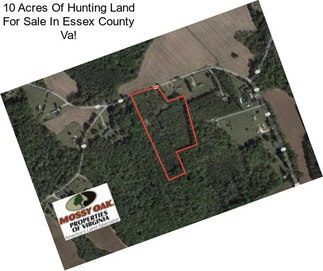 10 Acres Of Hunting Land For Sale In Essex County Va!