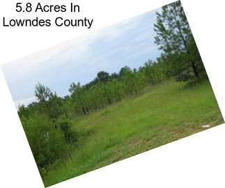 5.8 Acres In Lowndes County