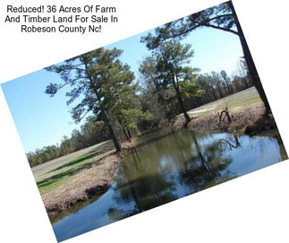 Reduced! 36 Acres Of Farm And Timber Land For Sale In Robeson County Nc!