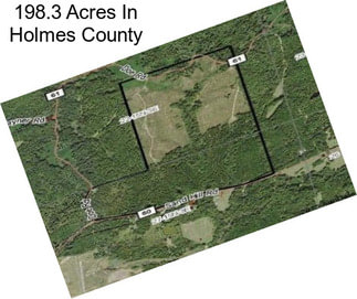 198.3 Acres In Holmes County