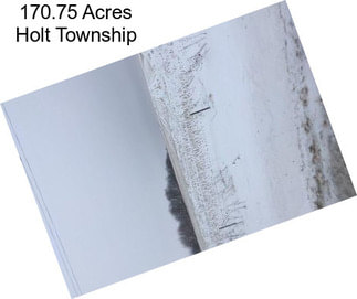 170.75 Acres Holt Township