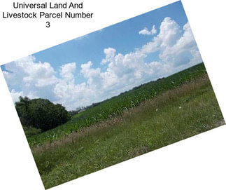 Universal Land And Livestock Parcel Number 3