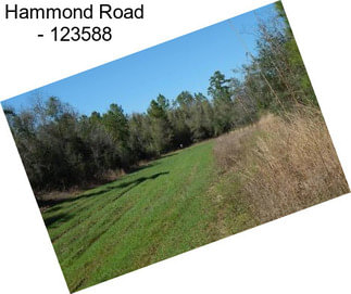 Hammond Road - 123588