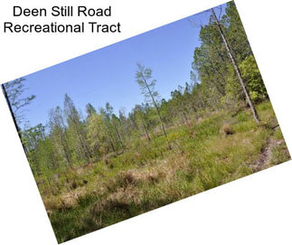 Deen Still Road Recreational Tract