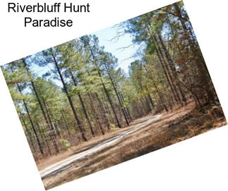 Riverbluff Hunt Paradise