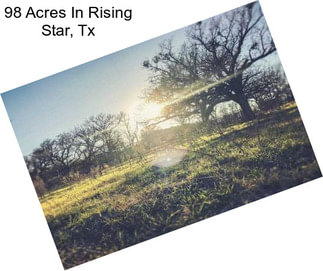 98 Acres In Rising Star, Tx