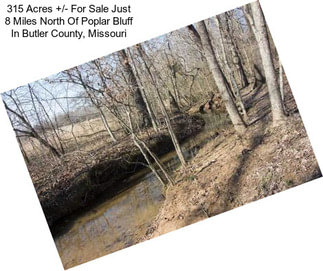 315 Acres +/- For Sale Just 8 Miles North Of Poplar Bluff In Butler County, Missouri