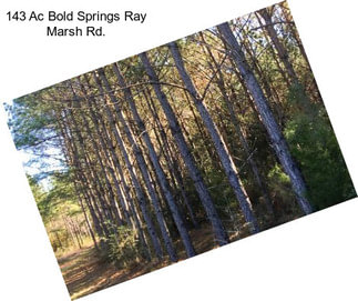 143 Ac Bold Springs Ray Marsh Rd.