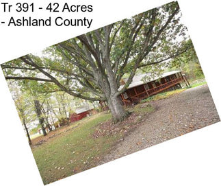 Tr 391 - 42 Acres - Ashland County