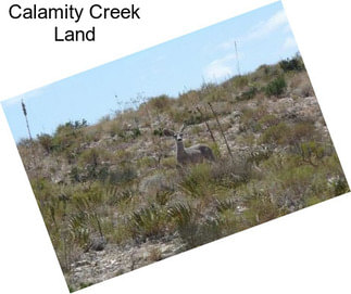 Calamity Creek Land