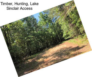 Timber, Hunting, Lake Sinclair Access