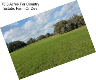 78.3 Acres For Country Estate, Farm Or Dev