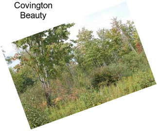 Covington Beauty