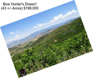 Bow Hunter\'s Dream! (43 +/- Acres) $199,000