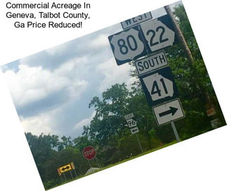 Commercial Acreage In Geneva, Talbot County, Ga Price Reduced!