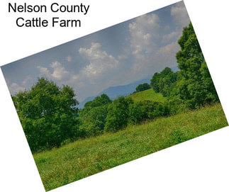 Nelson County Cattle Farm