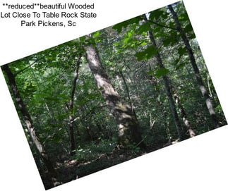 **reduced**beautiful Wooded Lot Close To Table Rock State Park Pickens, Sc