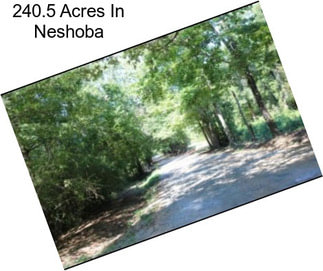 240.5 Acres In Neshoba