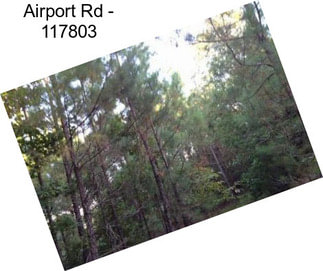 Airport Rd - 117803
