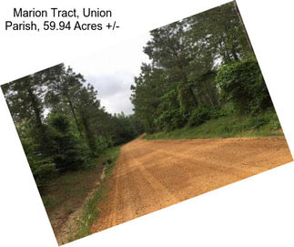 Marion Tract, Union Parish, 59.94 Acres +/-