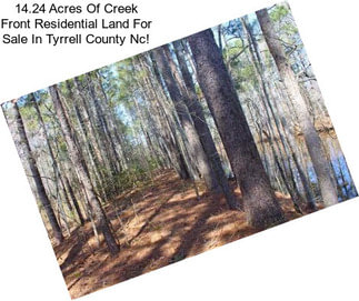 14.24 Acres Of Creek Front Residential Land For Sale In Tyrrell County Nc!