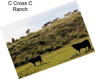 C Cross C Ranch