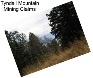 Tyndall Mountain Mining Claims