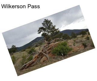 Wilkerson Pass