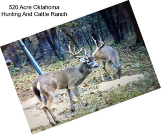 520 Acre Oklahoma Hunting And Cattle Ranch