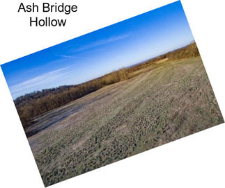 Ash Bridge Hollow