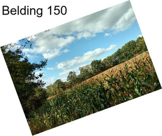 Belding 150