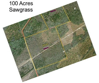 100 Acres Sawgrass