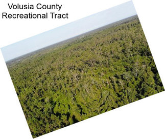 Volusia County Recreational Tract