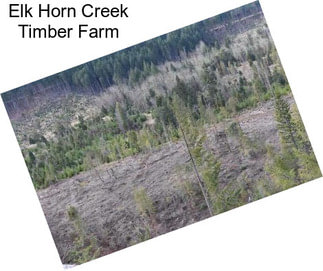 Elk Horn Creek Timber Farm