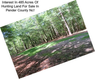 Interest In 485 Acres Of Hunting Land For Sale In Pender County Nc!