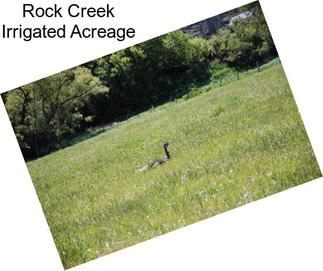 Rock Creek Irrigated Acreage