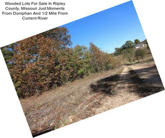 Wooded Lots For Sale In Ripley County, Missouri Just Moments From Doniphan And 1/2 Mile From Current River