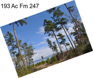 193 Ac Fm 247