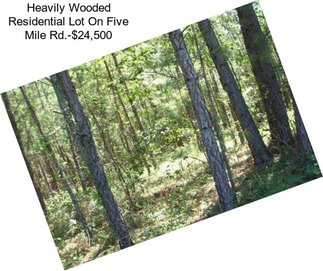 Heavily Wooded Residential Lot On Five Mile Rd.-$24,500