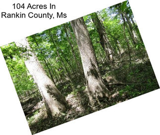 104 Acres In Rankin County, Ms